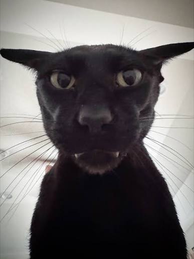 Evil Larry